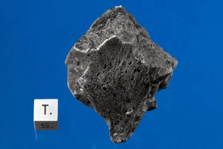 Tissint martian rocks.jpg