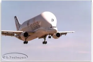 Avion  Ifrani Amazigh-Maroc.jpg