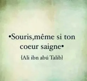 97fc9512b2ca768106a83c8d2faf0b96--citations-arabes-french-quotes.jpg