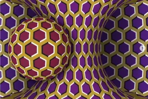 222981