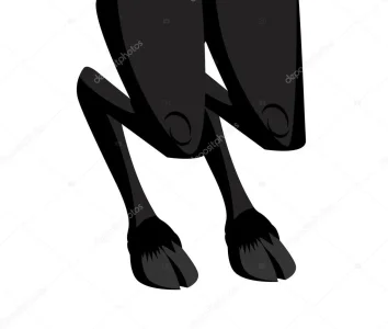 223720
