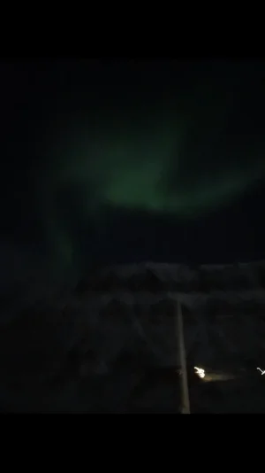 D7DFB93D-8BF2-4021-B8C0-705AF0F07FF4.png