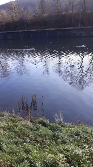 20191218_102524.jpg