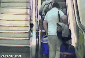 giphy (19).gif