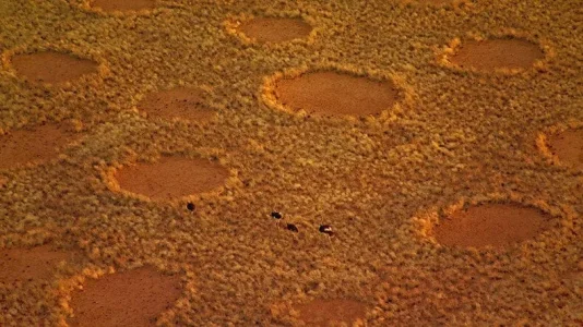 cercles-des-fees-namibie-afrique-4.jpg cercles-des-fees-namibie-afrique-4.jpg