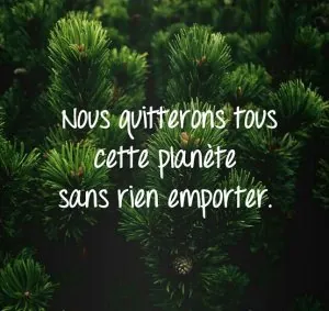 images (2)_1.jpg