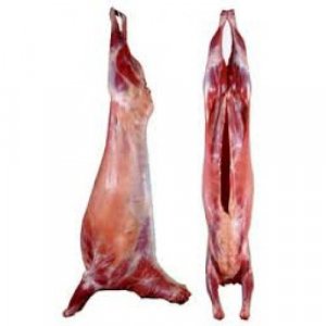 Fresh-Halal-Goat-Meat.jpg_640x640.jpg