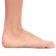 pied.jpg