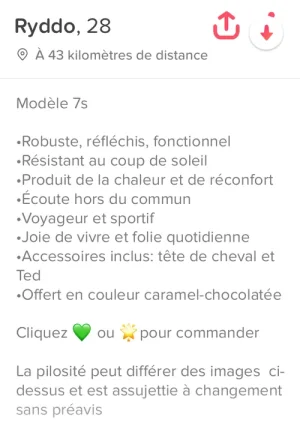 Description_.png