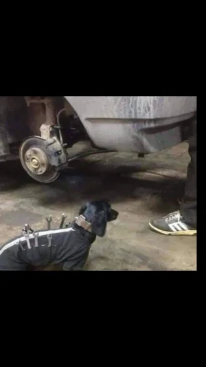 Screenshot_20200125-092359.png