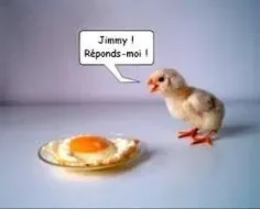 3d749c65e3edd30add06b1a1c23546f6--funny-animal-jokes-funny-jokes.jpg