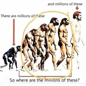 C5A4A918-1B2E-4F60-865A-51F3C3E4EE7B.jpeg