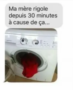 229093