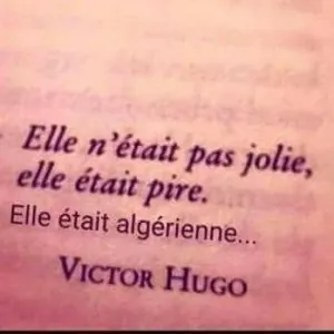 images (37).jpeg