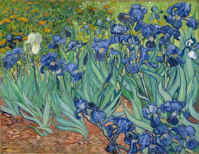 les fleurs.jpg