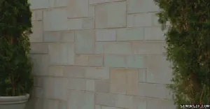 giphy-5.gif