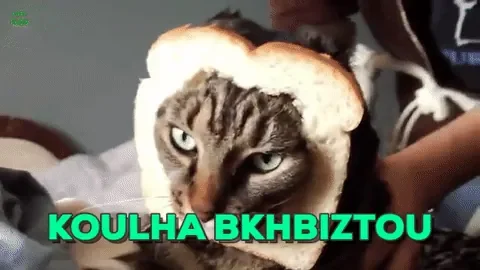 oijzpefjpzef.gif