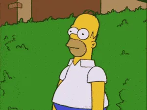 231230