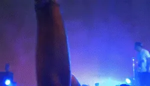 231344