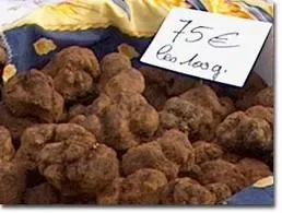 truffenoir.jpeg