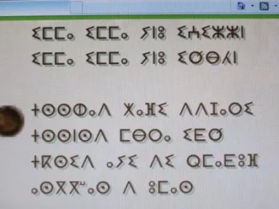 010.JPG