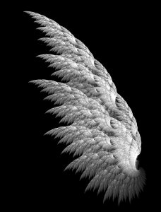 white_fractal_angel_wings_by_shadoweddancer1.jpg