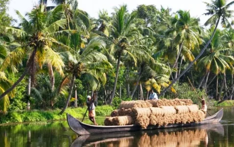 Croisiere cochin.jpg