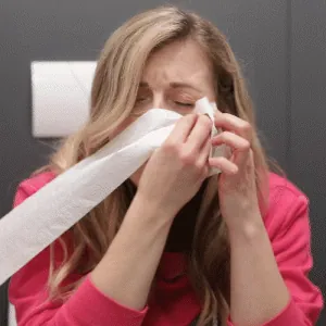 giphy.gif