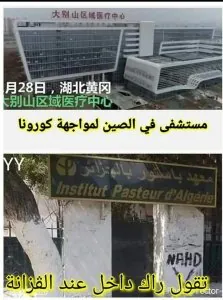 FB_IMG_1582917534854.jpg
