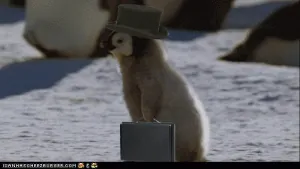 578.gif