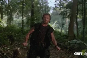 giphy (17).gif