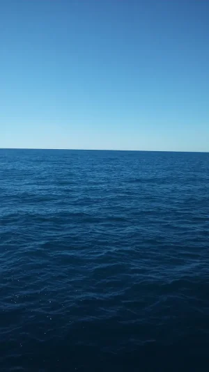 232184