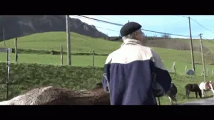 232251