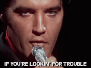 giphy-1.gif