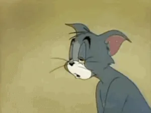 233423