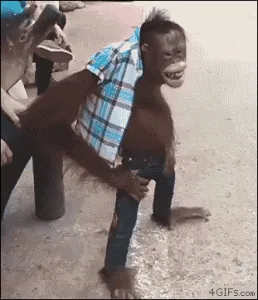 giphy - 2020-03-11T082458.371.gif