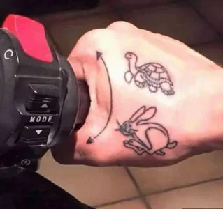 233667