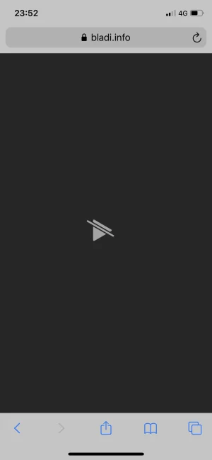 233925