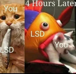 B6AB9384-C086-4C1D-B04B-B28E470E312E.jpeg
