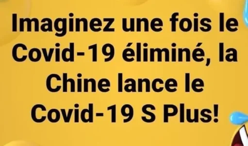 237204