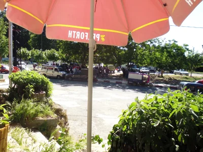 P1000888.JPG