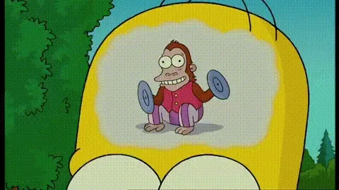 giphy (1).gif