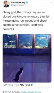 covidmemes-update-3-19-20-3.jpg