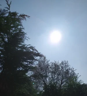 Screenshot_2020-04-09-15-32-59-826_com.miui.gallery.jpg