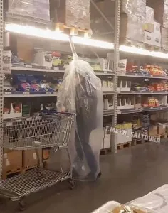 477030.jpeg