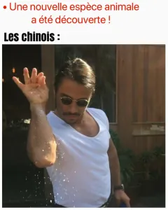 1FE02DC1-5A0B-42E9-845D-3A922CFE1FD8.png