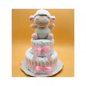 coffret-cadeau-gateau-de-couche-et-sa-boite-a-musique.jpg