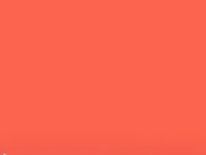 giphy (4).gif