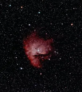 239020