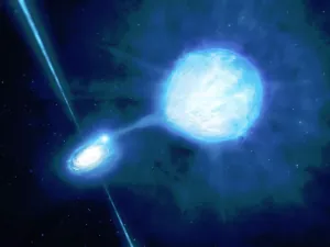 239070